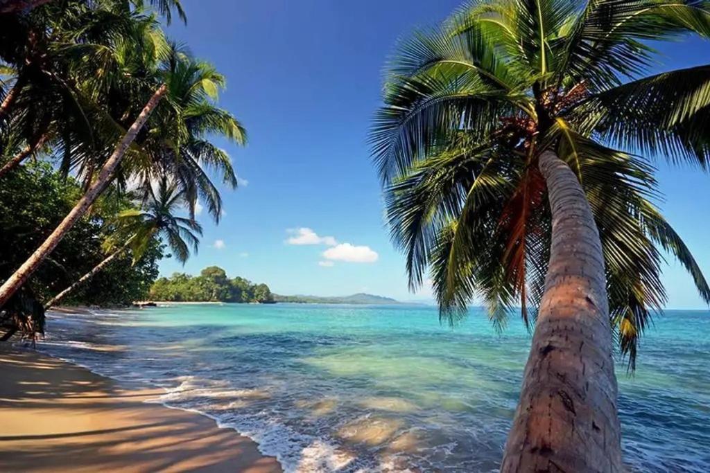 אפרטהוטל Puerto Viejo de Talamanca Roca Mar Rocawelch Puerto Viejo מראה חיצוני תמונה